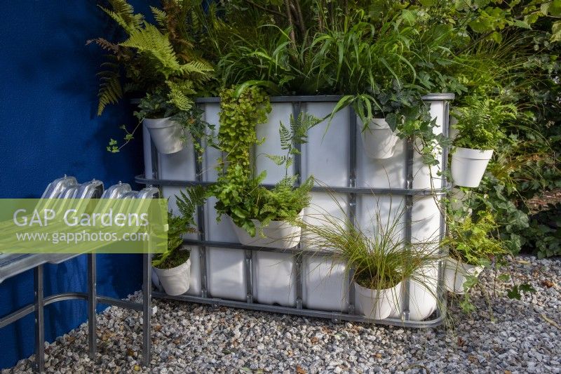 Repurposed upcycled industrial IBC - intermediate bulk container - to create a modern contemporary garden - gravel surface patio with bench seat - planting of Dryopteris erythrosora, Carex testacea 'Praire Fire', Asplenium scolopendrium