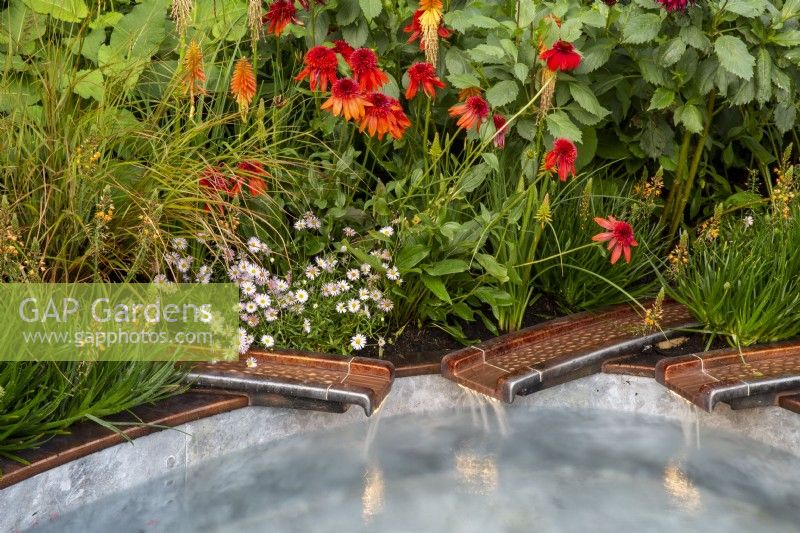 Copper metal rills with water flowing into a small pool - late summer mixed perennial planting of Echinacea 'Eccentric', Kniphofia 'Papaya Popsicle', Bulbine frutescens Avera Sun Series Sunset Orange, Panicum virgatum 'Squaw' and Erigeron 'Lavender Lady' - Mexican Fleabane 
