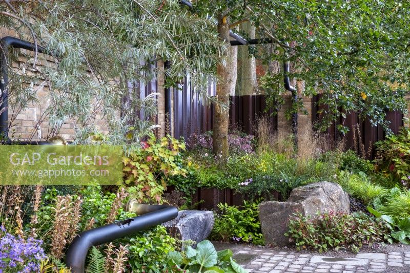 An old industrial urban wasteland redesigned into a new urban garden with reclaimed cobble paving and mixed perennial planting of Hydrangea quercifolia, Acanthus hungaricus seedheads, Actaea simplex, Bergenia ciliata, Persicaria - ornamental grasses