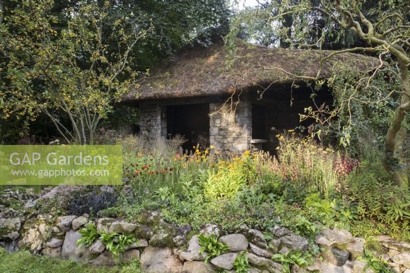 Drystone wall with Asplenium scolopendrium - old stone forge building with thatched roof - Salix x sepulcralis, Malus - crab apple and mixed planting perennial border with Digitalis, Digiplexis, Crocosmia, Echinacea, Helenium and ornamental grasses 