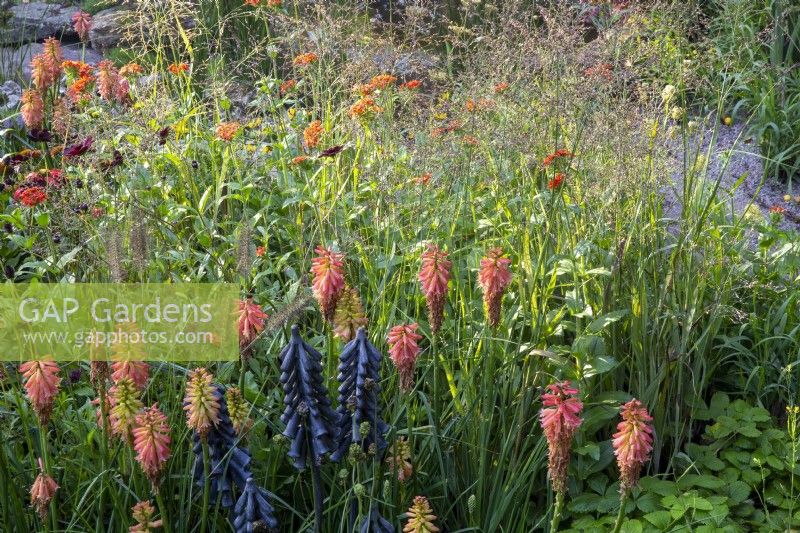 Kniphofia metal flower sculpture with ornamental grasses of Pennisetum alopecuroides and Melica altissima
