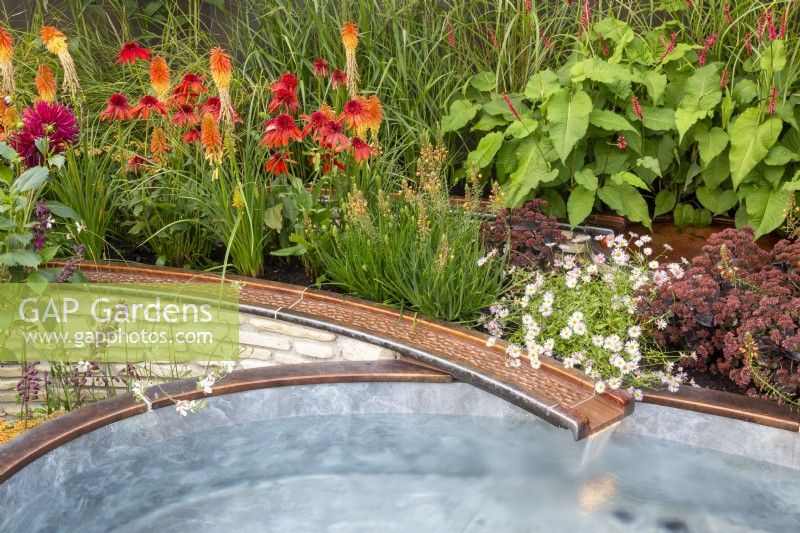 Copper metal rill with water flowing into a raised small pool - late summer mixed perennial planting of Echinacea 'Eccentric', Dahlia 'Black Narcissus', Kniphofia 'Papaya Popsicle'