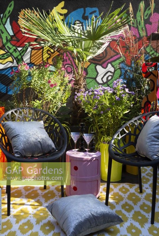 A modern contemporary colourful balcony terrace with black chairs and cushions - pink table with cocktail glasses - container planting including from left to right - Symphyotrichum novae-angliae 'Andenken an Alma Potschke', Trachycarpus fortunei - Chusan Palm, Miscanthus sinensis 'Dronning Ingrid' 