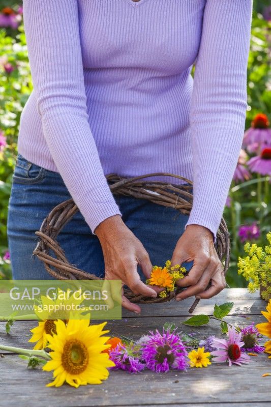 Woman making wreath of summer flowers including pot marigold, fennel, coneflower, bergamot and others.