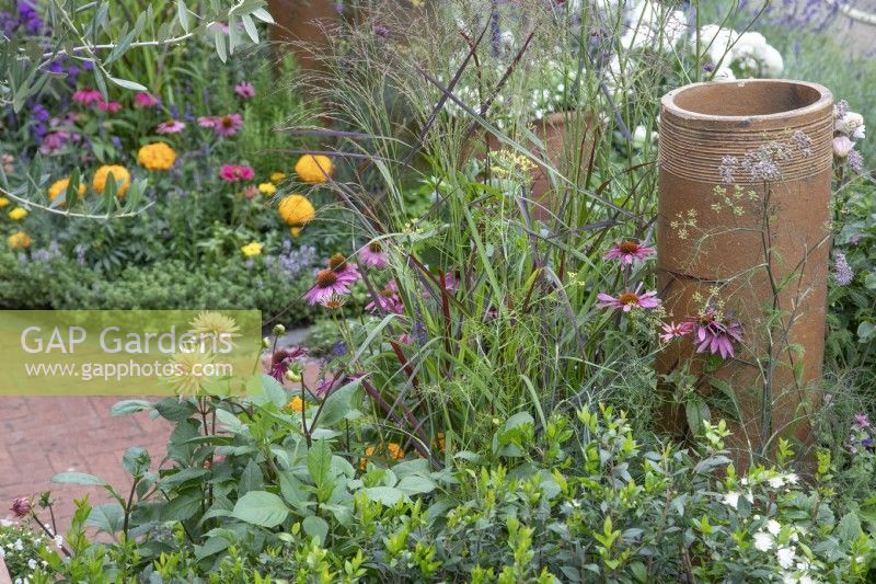 Echinacea and dahlias in 'Nature's Resilience' garden at BBC Gardener's World Live 2021 - June