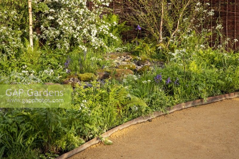 Gravel path with curved metal edging to wildflower border with a stream running through mossy rocks and a woven willow fence