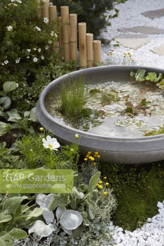 The Lunar Garden Designer: Queenie Chan. Grey stone bowl in white and circles themed garden. Summer.