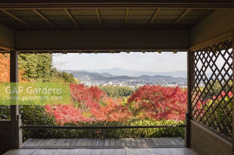 View over acers in autumn colour to Arashiyama and distant mountains, framed by wooden building. 