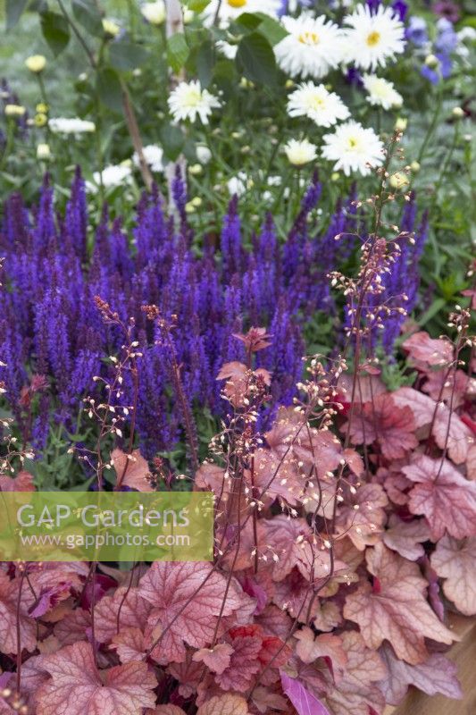 Purple themed border in Bee Inspired' - Beautiful Borders at BBC Gardener's World Live 2018, June