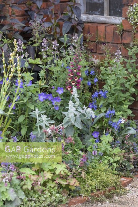 A mixed border of flowering perennials in the 'Canal and River Trust Garden - Making Life Better by Water' at BBC Gardeners World Live 2019, June