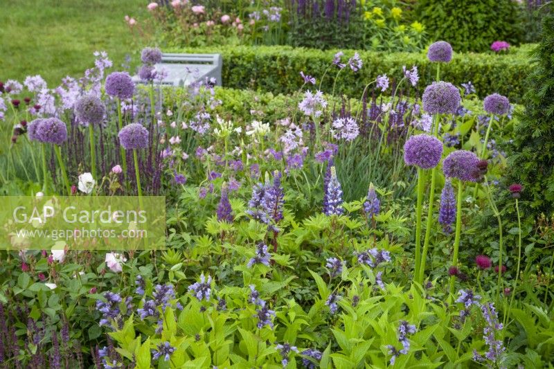 Mixed purple perennials in the 'Experience Peak District and Derbyshire Garden' at RHS Chatsworth Flower Show 2017, June 