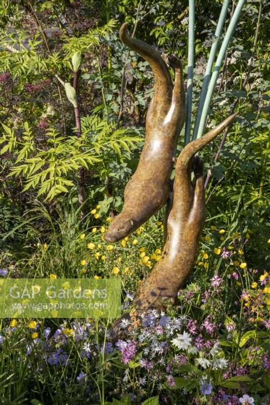 Bronze otters sculpture by Simon Gudgeon with mixed perennial planting of Lychnis flos-cuculi and Ranunculus acris 