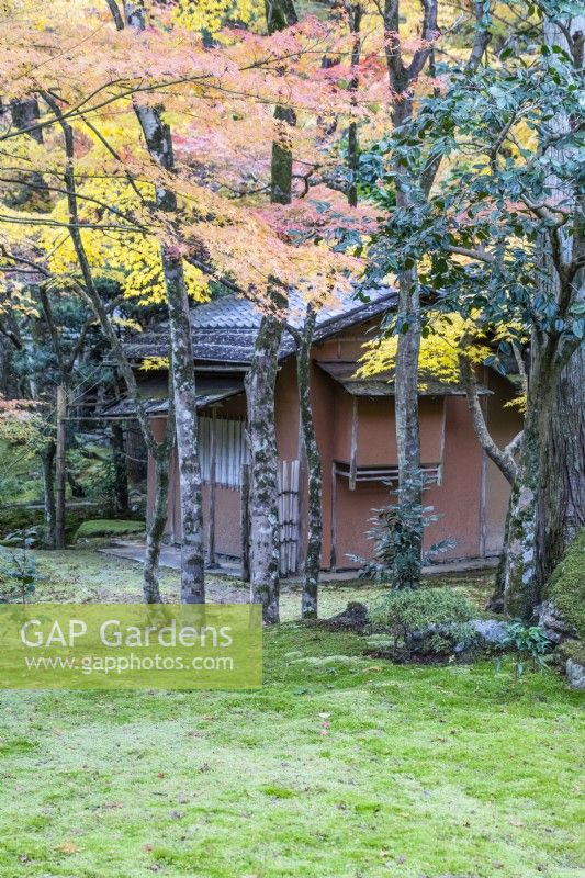 Small building within the garden with trees in autumn colour and groundcover of moss.