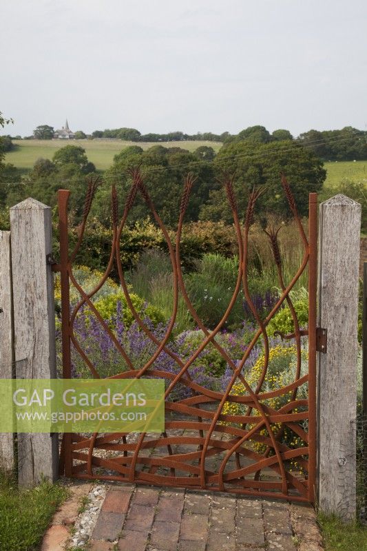 Drought tolerant garden filled with mediterranean plants. Bespoke Steel Gate allowed to rust, depicting corn and the fields, framing the view of the fields to Pett Church and entrance to The Jewel Garden -  Curved brick pathway. Nepeta 'Six Hills Giant' - Catmint,   Santolina chamaecyparissus ' Yellow Buttons', Euphorbia seguieriana subsp. niciciana. Gate Made by Jake Bowers The Thirsty Bear Forge Hastings