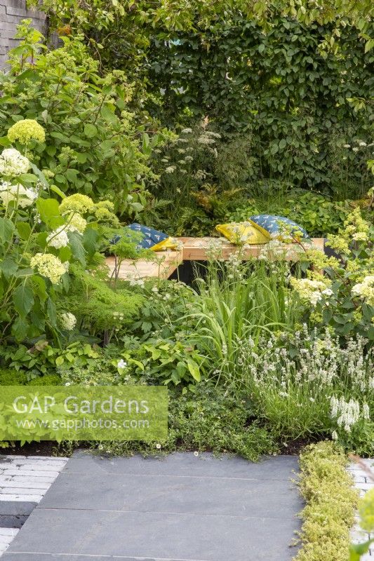Mixed perennial planting in white and green with Hydrangea arborescens 'Annabelle' and hedge of Star Jasmine, sunken seating area with wooden benches and cushions