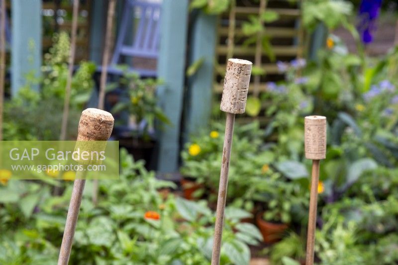 Bamboo canes with champagne and wine corks used as cane toppers