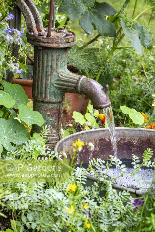 Water feature - an old rusty water pump with spout into an old tin bath container