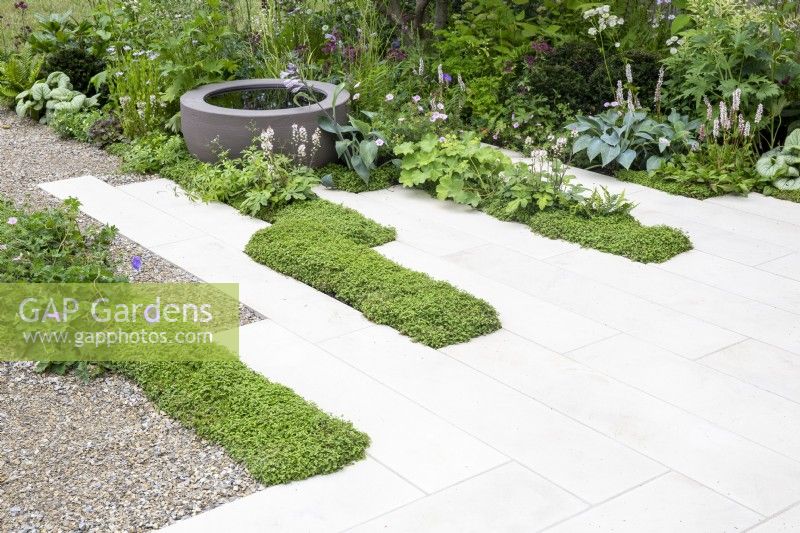 A gravel and stone paved terrace with planting of Soleirolia soleirolii to soften the edges and mixed perennial planting