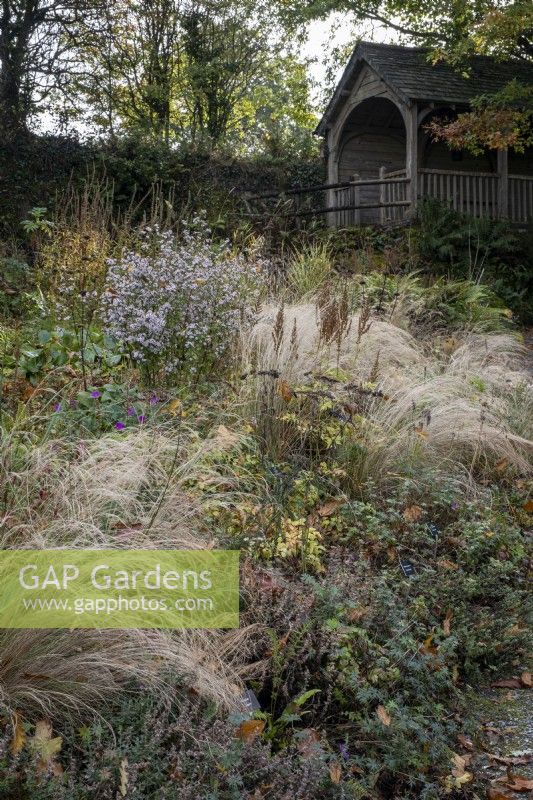 Deep autumnal beds at The Garden House, Devon. Grasses and late flowering perennials drift through each other with summerhouse at the back