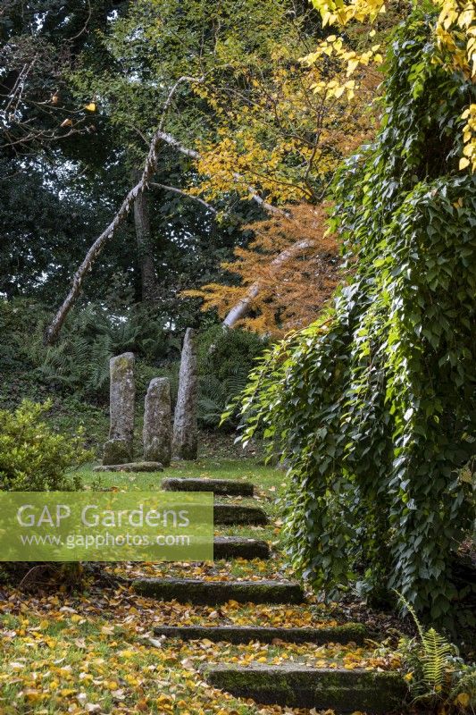 Standing stones as ornaments at the top of a flight of stone steps in woodland garden, autumn