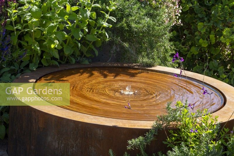 A round corten steel water feature with planting of Rosmarinus officinalis and Mentha - Mint