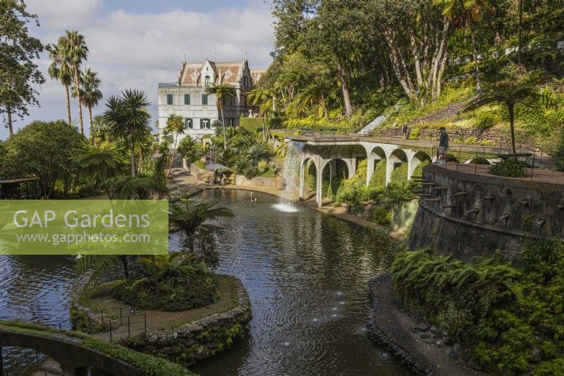 The waterfall, designed by Jose Berardo, flows from a  viaduct style balcony into the Central Lake with swans swimming in the foreground and with the Monte Palace house in the background. Monte Palace Gardens, Madeira. August. Summer