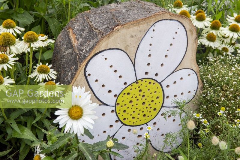A tree stump made into an insect hotel with a painted daisy flower for decoration, planting of Echinacea purpurea 'White Swan'