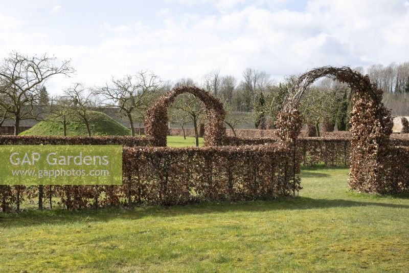 Beech hedge with arches at Chippenham Park Gardens, March