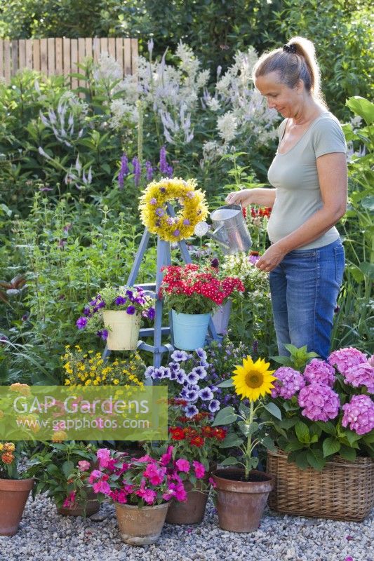 A woman waters flowers in containers including Impatiens, Surfinia, Verbena, Scaevola, Zinnia, Sunflower, Hydrangea and Sanvitalia.