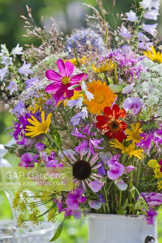 Bouquet of summer flowers including Cosmos, Yarrow, Yellow ox-eye, Coneflowers, Bergamot, Sweet peas, Campanula, Fennel and Grasses.