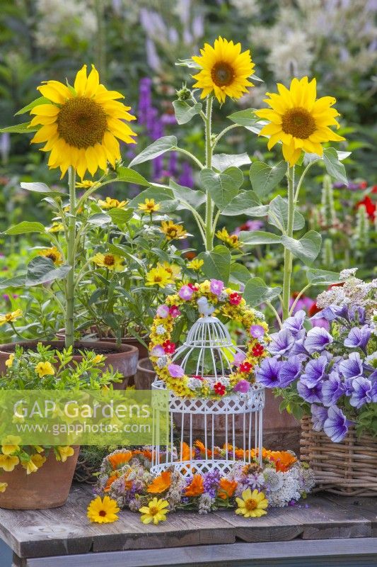 Wreaths made of summer flowers and containers with Surfinia and sunflowers on the table.