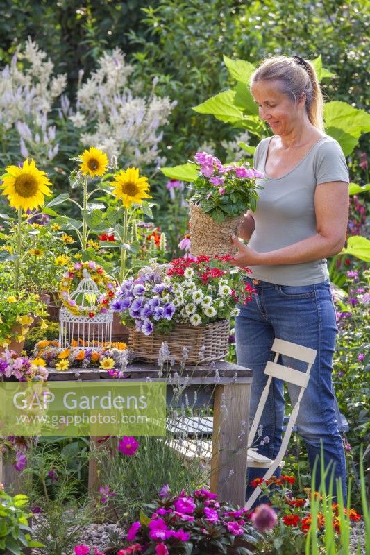 Table arrangement with  Impatiens, Surfinia, Verbena, Scaevola and sunflowers and wreaths made of summer flowers. Woman holding  Impatiens in rope pot.