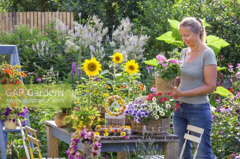 Table arrangement with  Impatiens, Surfinia, Verbena, Scaevola and sunflowers and wreaths made of summer flowers. Woman holding  Impatiens in rope pot.