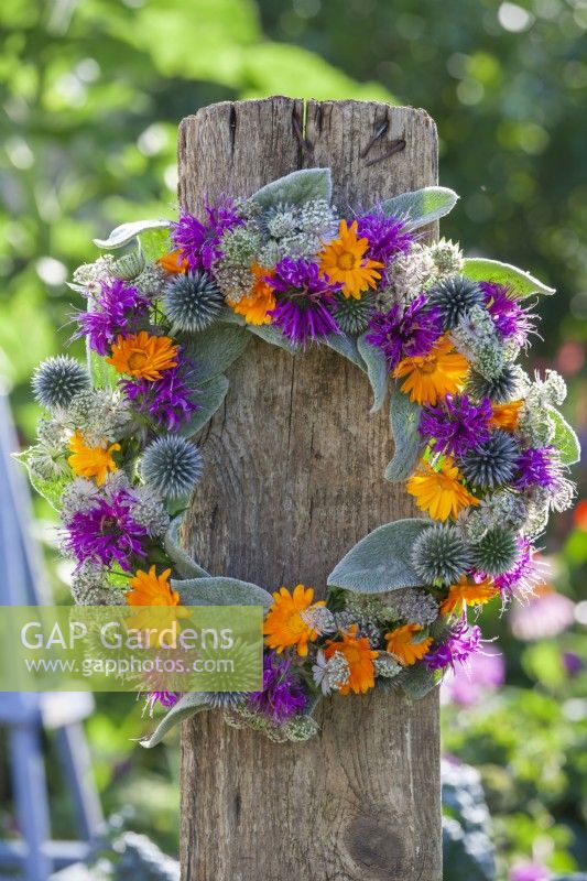 Summer wreath made of Echinops, Monarda, Astrantia, Calendula and Stachys.