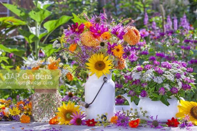 Summer flower bouquets with annuals including Nasturtium, Pot marigold, Wild carrot and Love in a mist  in a glass jar decorated with twine, Sunflowers, Dahlia, Monarda, Echinacea purpurea, Cosmos and Calendula in enamel milk churn and Achillea and Red clover in an enamel tea pot.