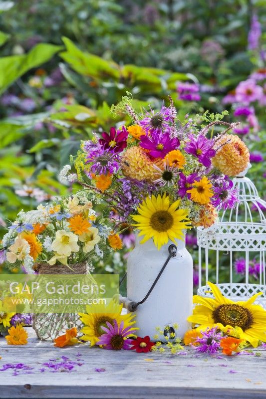 Summer flower bouquets with annuals including Nasturtium, Pot marigold, Wild carrot and Love in a mist  in a glass jar decorated with twine and Sunflowers, Dahlia, Monarda, Echinacea purpurea, Cosmos and Calendula in enamel milk churn.