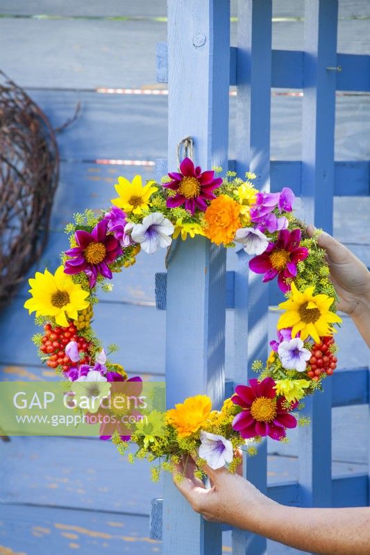 Person hangs summer flower wreath made of Dahlia, Helianthus, Foeniculum, Calendula, Petunia, Sweet peas and Guelder rose berries.