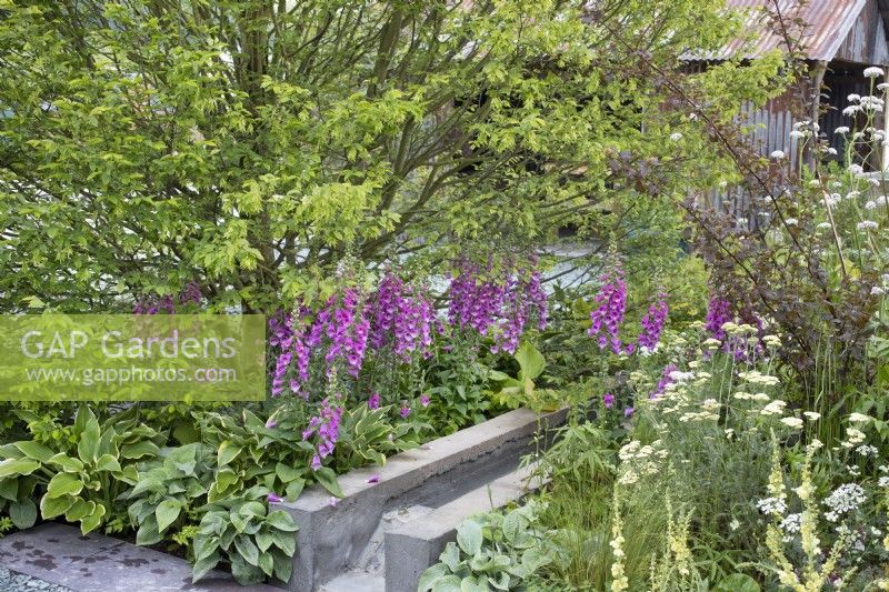 Stone rill waterway surrounded by mixed perennial planting in 'The Brewin Dolphin Artist's Garden' at RHS Chatsworth Flower Show 2019