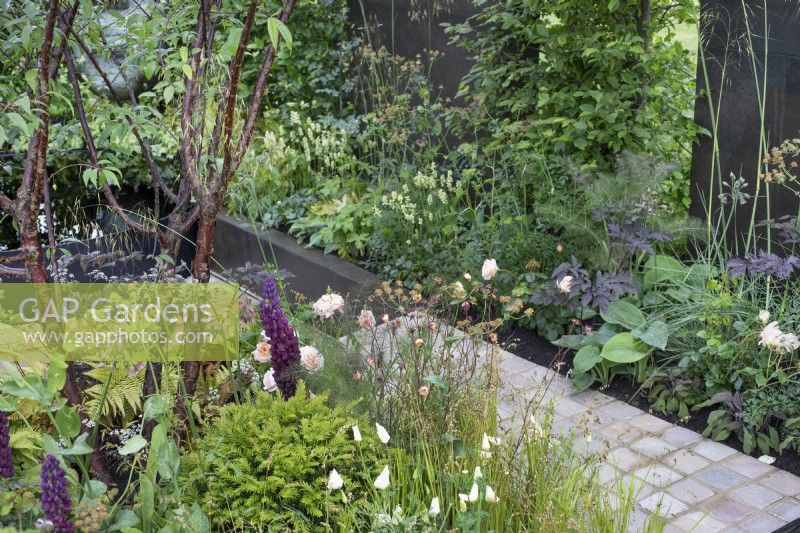 Path through mixed perennial beds to the pool in 'The Thrive Reflective Mind Garden' - RHS Chatsworth Flower Show 2019, June