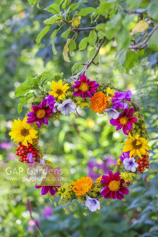 Wreath made of summer flowers and berries including Dahlia, Helianthus, Foeniculum, Calendula, Petunia, Sweet peas and Guelder rose berries hanging from a tree.