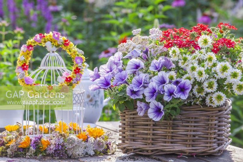 Table arrangement including wicker container planted with Surfinia, Verbena, Achillea and Scaevola and wreaths of summer flowers including Verbascum, Hydrangea, Calendula, Astrantia, Verbena bonariensis and Achillea.