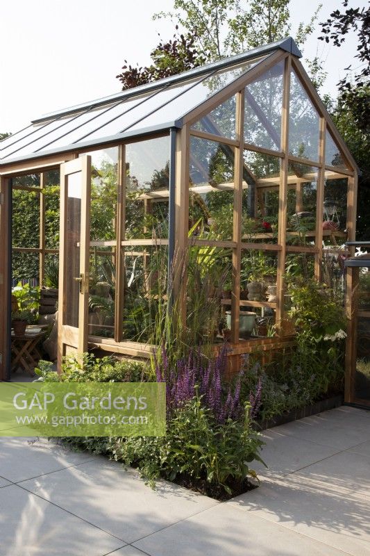 Timber frame greenhouse with a stone paved patio, mixed perennial planting border of Salvia nemorosa 'Caradonna' and Nepeta