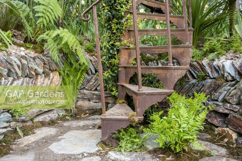 A rusty spiral staircase, stone paving and a low retaining wall, planting of Osmunda regalis - Royal fern and Matteuccia struthiopteris at the base 