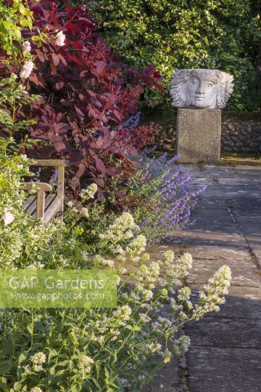 Looking along the sunken terrace at the back of the house to scultpure 'Helios', catching the setting sun's rays on the west side of his triangular face. White valerian Centranthus ruber 'Albus' and Cotinus coggrygria cv. frame a wooden bench in the foreground.
