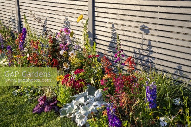 Painted grey horizontal slatted wooden fence with a border of colourful mixed perennial planting 