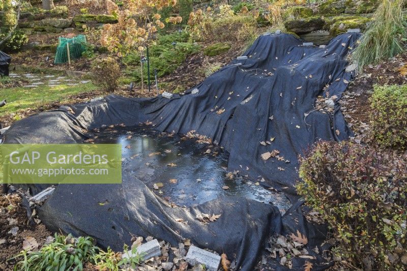 Pond protected against falling leaves and winter weather with black tarpaulin in backyard garden in autumn, Quebec, Canada. 