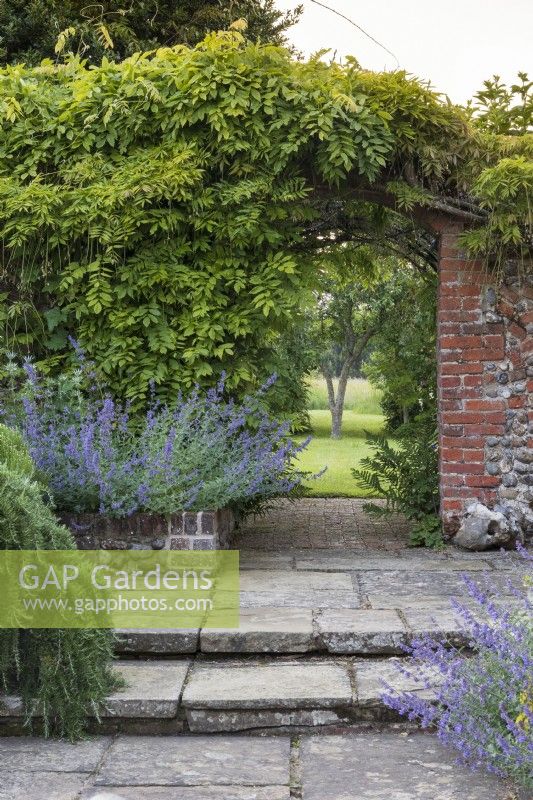 Brick archway draped with wisteria foliage looking through from the sunken terrace next to the house to the wildflower meadow in the distance. Including prostrate rosemary Rosmarinus officinalis cv., and catmint, Nepeta 'Six Hills Giant'.
