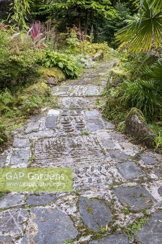 Decorative paved and cobbled path through lush autumnal garden, with bamboos and palm trees