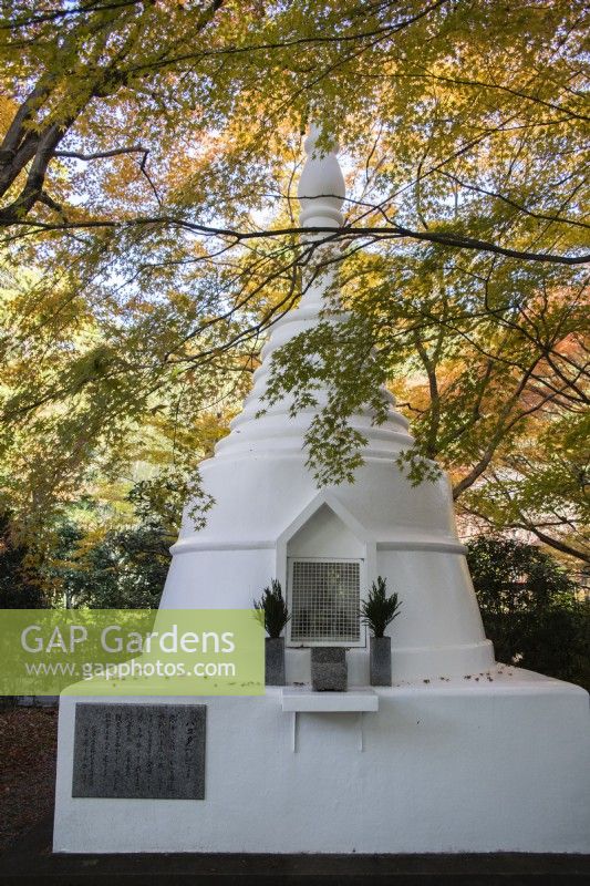 The Pagoda in the Landscaped garden. Acers with autumn colour.