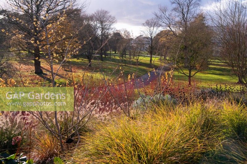 A view over plantings in the hillside Winter Garden at Kew Gardens in autumn.